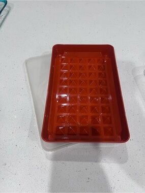 Vintage Tupperware hot dog, meat, bacon keeper in the color paprika.